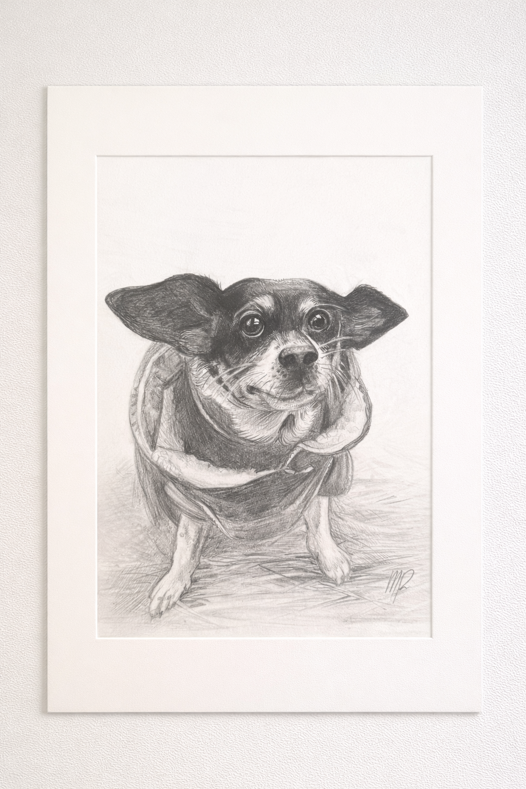 Black & White Graphite 9x11 (1 Pet)