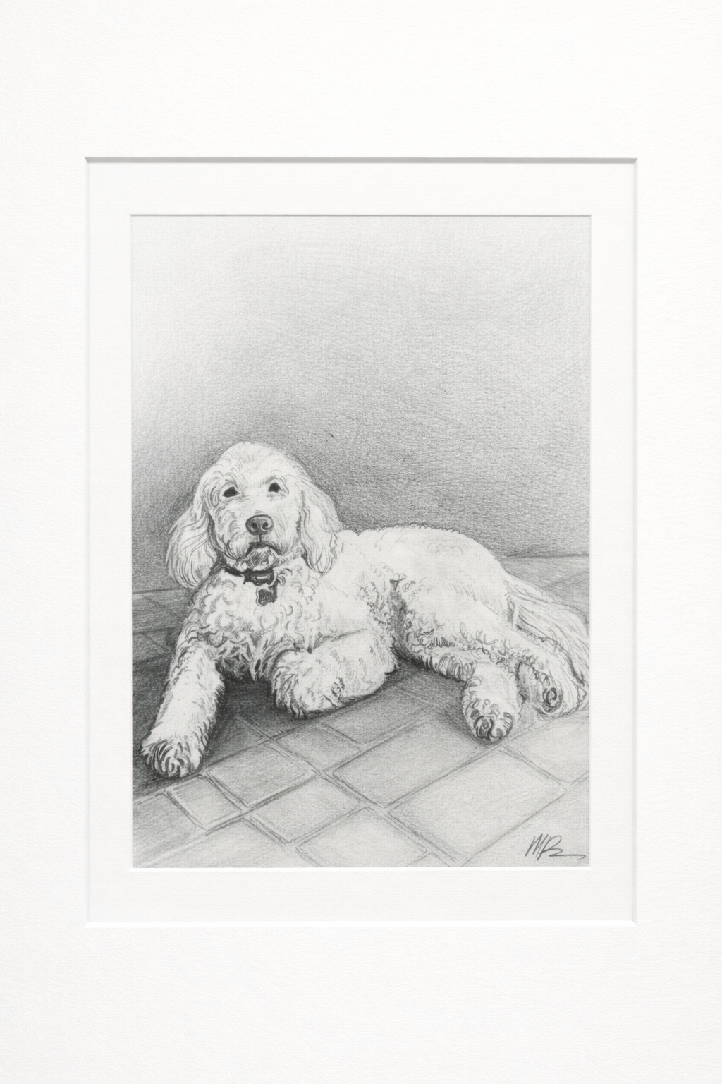 Black & White Graphite 9x11 (1 Pet)