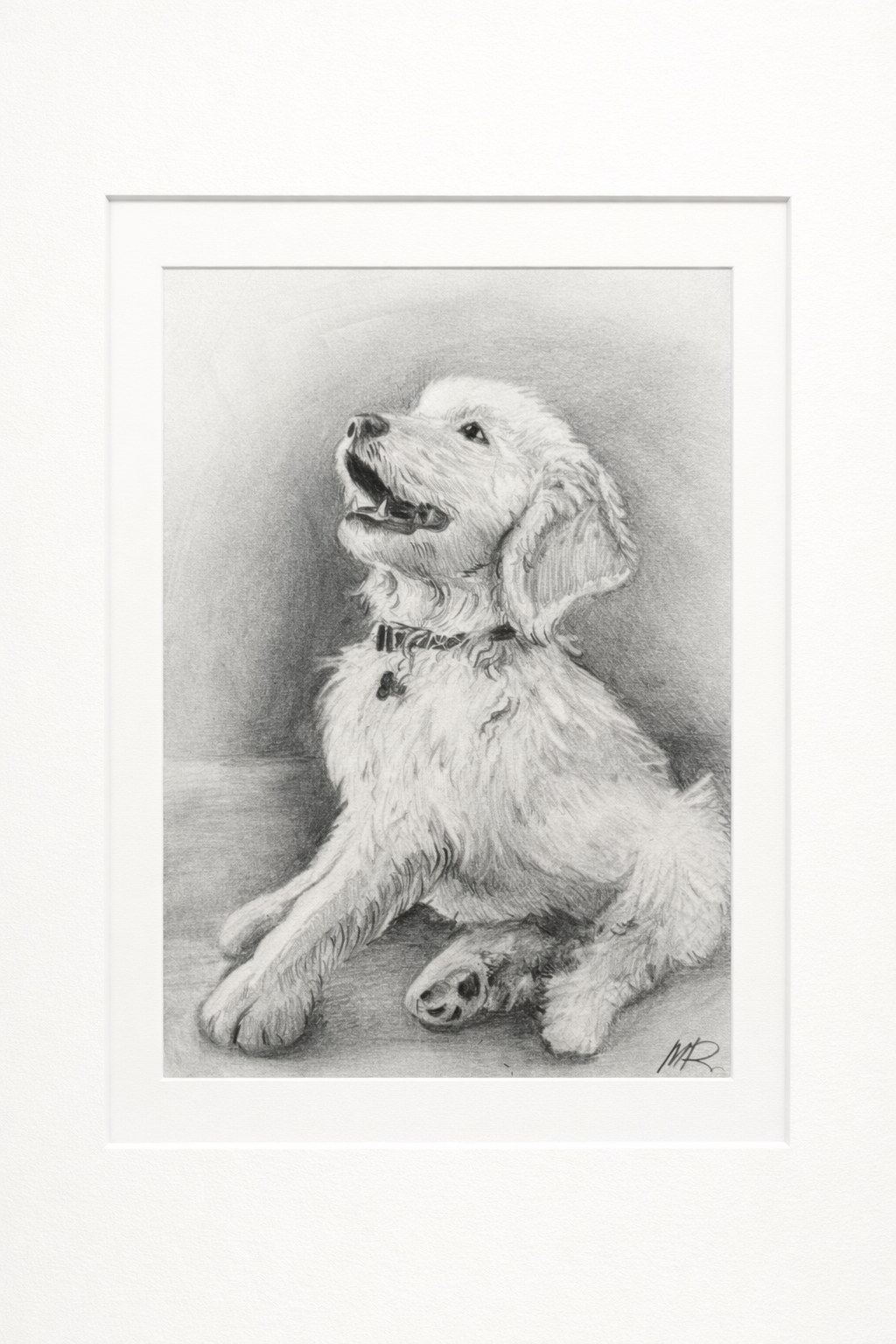 Black & White Graphite 9x11 (1 Pet)